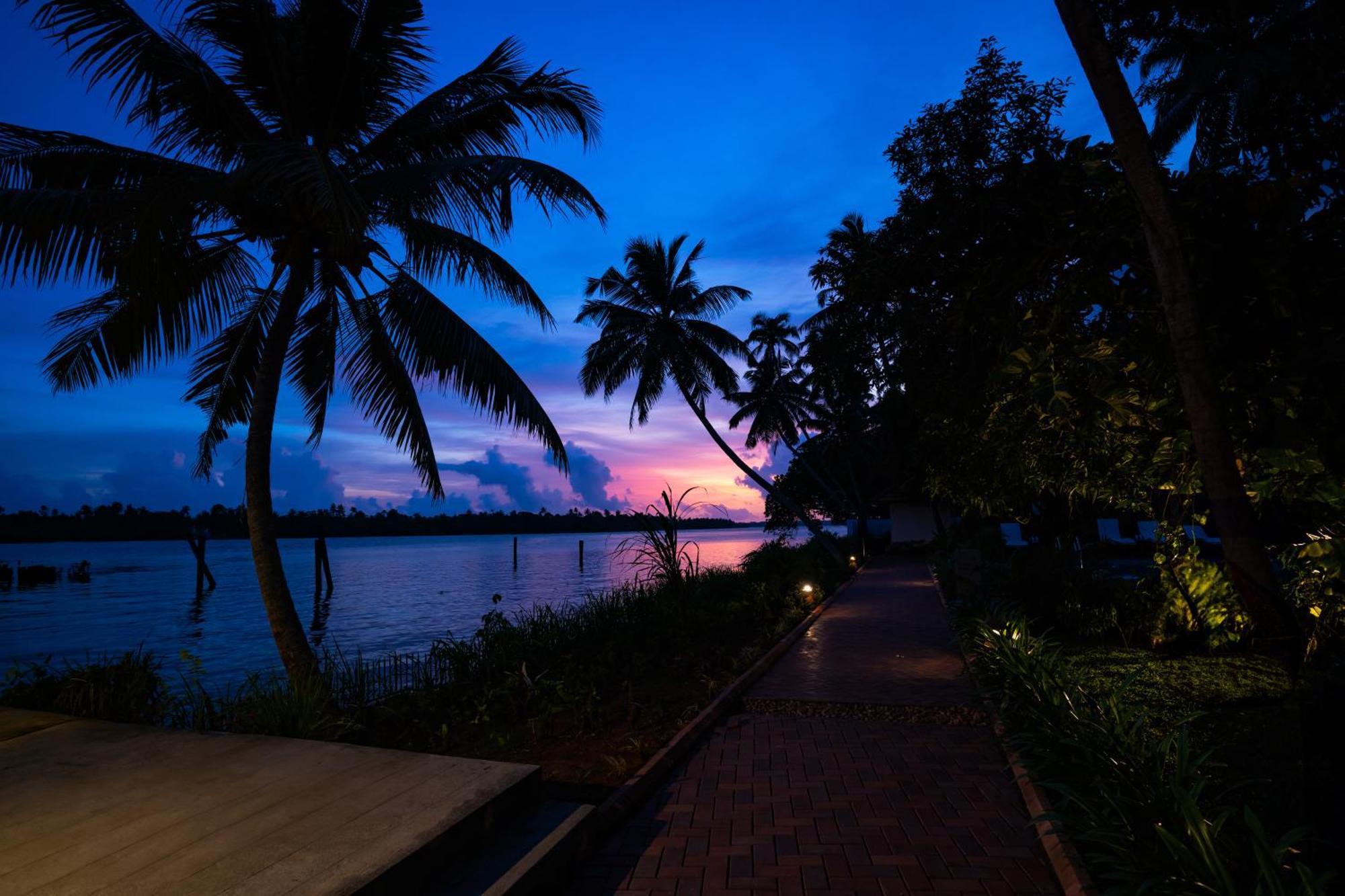 Vedic Village Retreat Kodungallur Kochi Zewnętrze zdjęcie